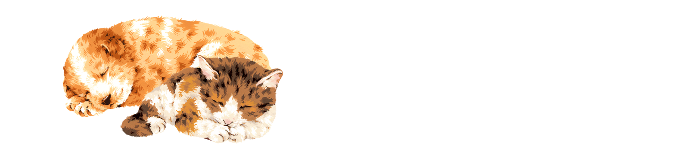子夢の森